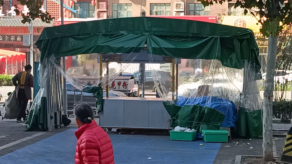 违法大棚现场照片2